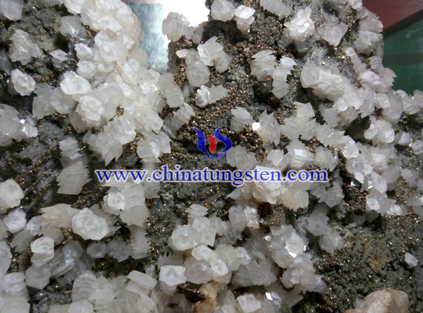 �u���V�Ճ�(ch��)�DƬ