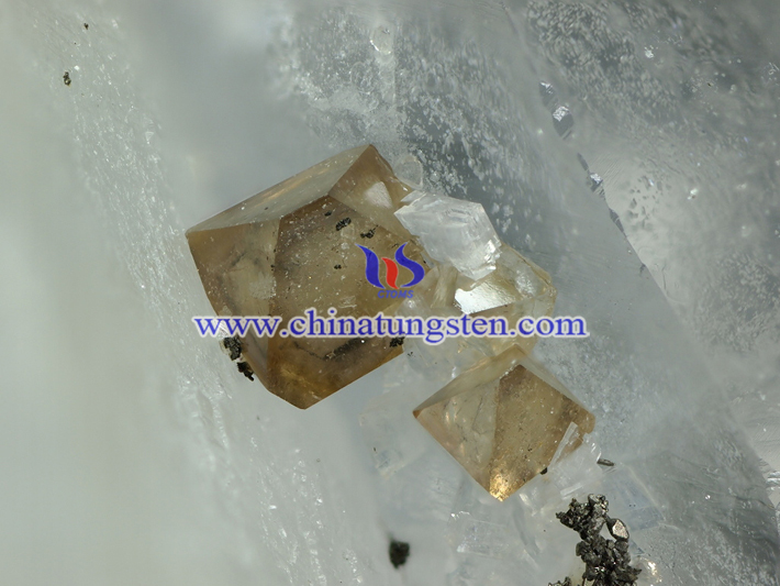 �u���V�DƬ