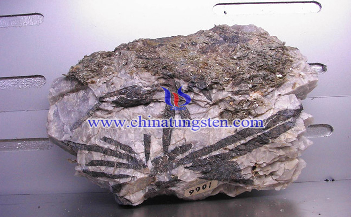 �u���V�DƬ