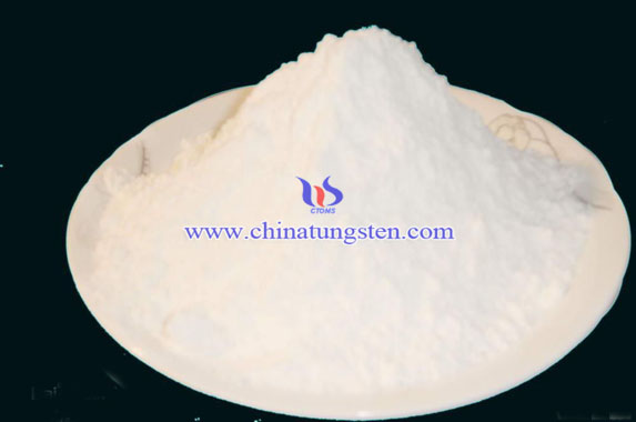 ���u���@�DƬ