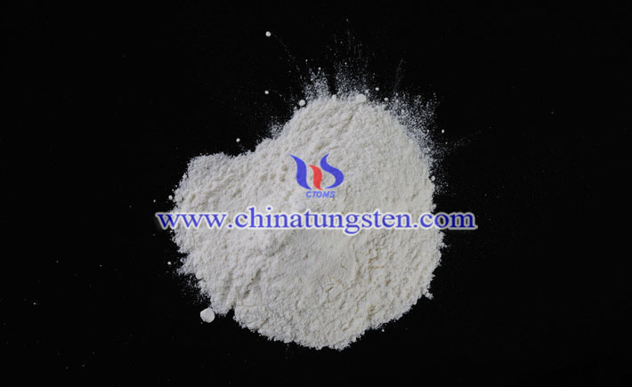 ���u���@�DƬ