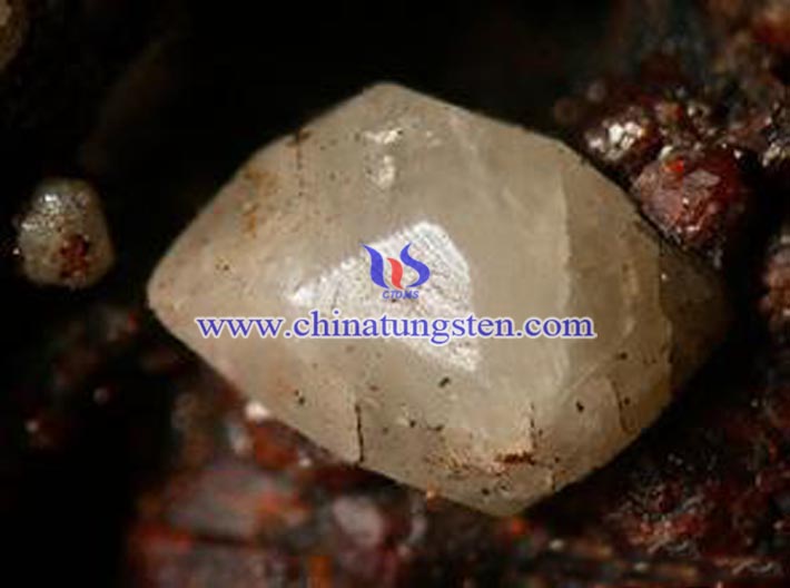 ���u���V�DƬ