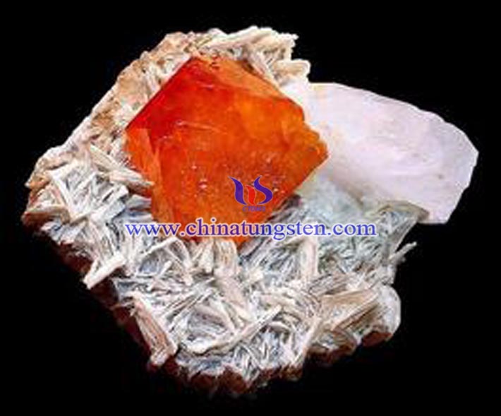 ���u���V�DƬ