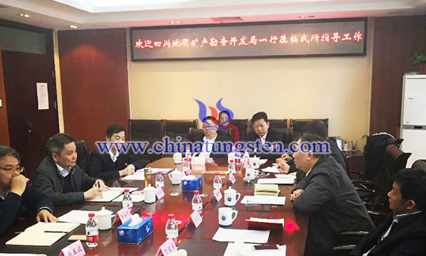 四川省地礦局與中國地質(zhì)科學院礦產(chǎn)資源研究所座談圖片