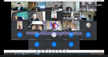 會議全景（部分參會代表為保障會議順暢關(guān)閉了視頻）