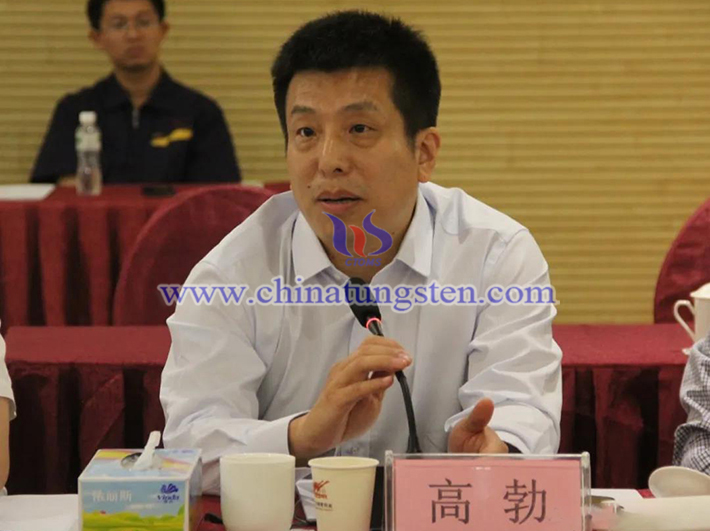 中國(guó)鎢業(yè)協(xié)會(huì)主席團(tuán)主席、中鎢高新材料股份有限公司副總經(jīng)理高勃