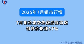 7月鉬價如何