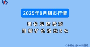 2025年8月鉬市行情如何