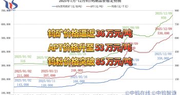 2025年1月-12月9日鎢製品價格走勢