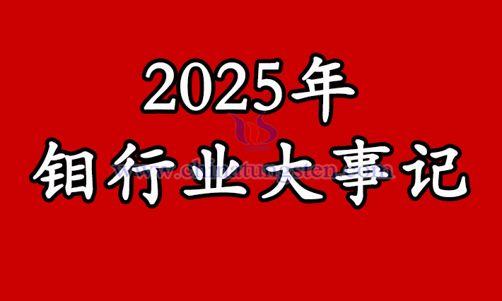 2025年鉬行業(yè)大事記