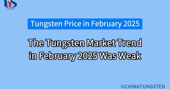 the tungsten market trend in february 2025 was weak