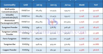 Average Price of Tungsten Products in July 2025