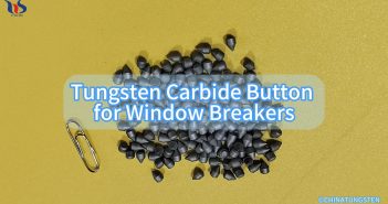 Tungsten Carbide Button for Window Breakers