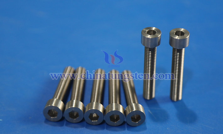 CTIA GROUP LTD tungsten alloy fastener screw picture