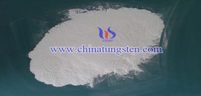 タングステン酸アンモニウム寫(xiě)真