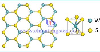 グラフェンのような2次元材料：二硫化タングステン寫(xiě)真