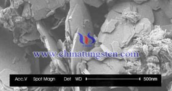 Au‐WS 2複合觸媒畫(huà)像用の二硫化タングステンナノシート