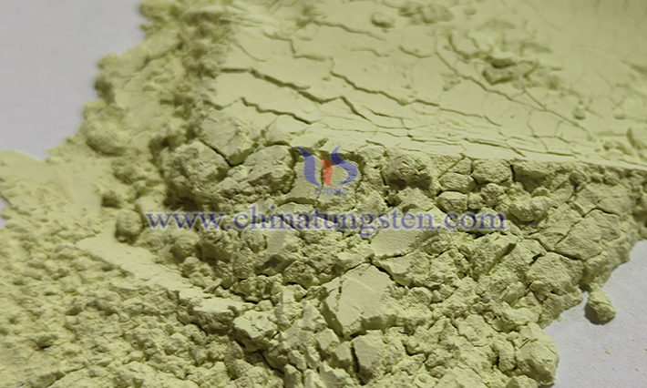 ?? ??? ?? ??? ?????? ??