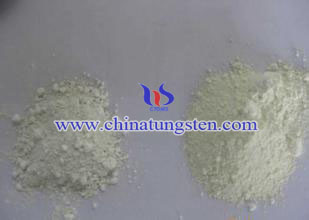 ϡ��������