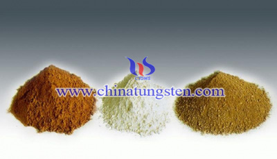 ϡ�������