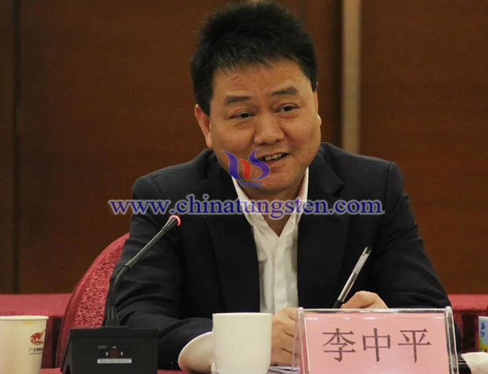 中國鎢業(yè)協(xié)會主席團(tuán)主席、湖南辰州礦業(yè)有限責(zé)任公司董事長李中平