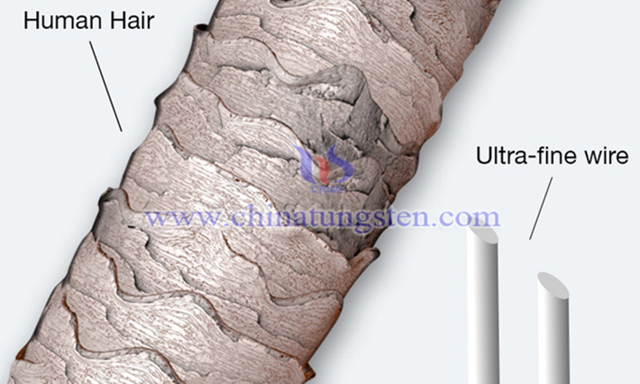 人體頭發(fā) VS 醫(yī)用細(xì)鎢絲對比圖