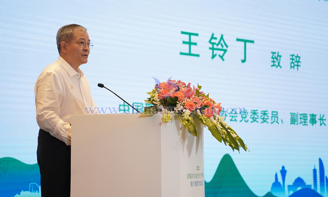 中國職業(yè)安全健康協(xié)會(huì)黨委委員、副理事長 王鈴丁