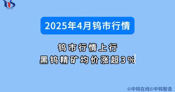 2025年4月鎢價行情如何圖片