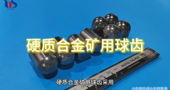 硬質(zhì)合金礦用球齒圖片