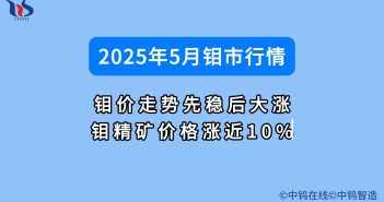 2025年5月鉬價行情如何