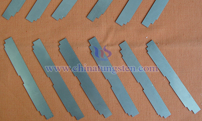 中鎢智造鎢合金屏蔽件圖片