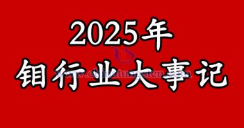 2025年鉬行業(yè)大事記